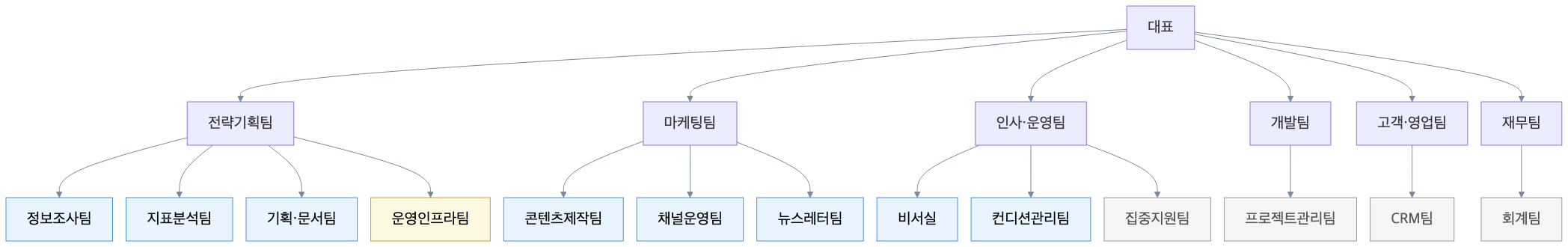 차분한 개발자 1인 회사 조직도